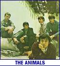 ANIMALS (photo)