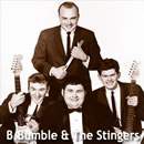 BUMBLE B. & THE STINGERS (photo)