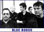 BLUE RODEO (photo)