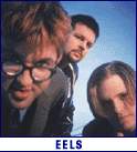 EELS (photo)