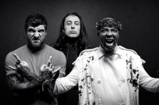 FALLING IN REVERSE (photo)