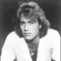 GIBB Andy (photo)