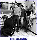 GLANDS (photo)