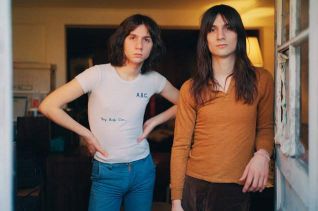 LEMON TWIGS (photo)