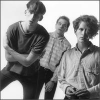 MATERIAL ISSUE (photo)