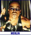 MERLIN (photo)