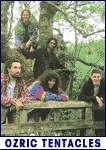 OZRIC TENTACLES (photo)