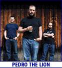 PEDRO THE LION (photo)