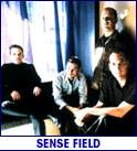 SENSE FIELD (photo)