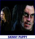 SKINNY PUPPY (photo)