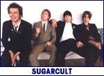 SUGARCULT (photo)