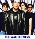 WALLFLOWERS (photo)
