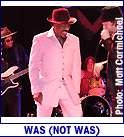 WAS (NOT WAS) (photo)