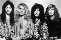 WHITE LION (photo)