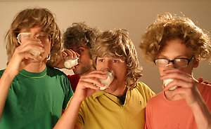 WHITEST BOY ALIVE (photo)