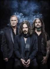 WINERY DOGS (photo)