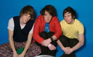 WOMBATS (photo)