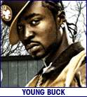 YOUNG BUCK (photo)